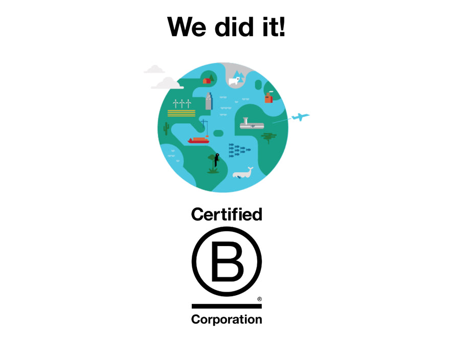 Our journey to BCorps