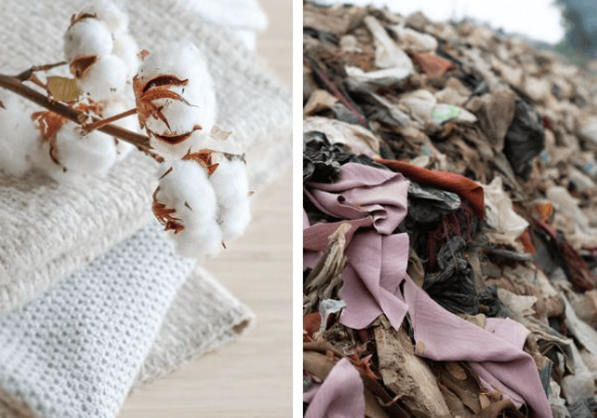 Turning Textile Waste into Compost: A New World-First Technical Specification